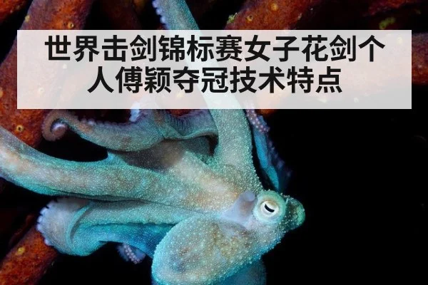 世界击剑锦标赛女子花剑个人傅颖夺冠技术特点