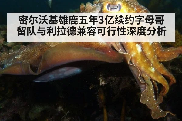 密尔沃基雄鹿五年3亿续约字母哥留队与利拉德兼容可行性深度分析