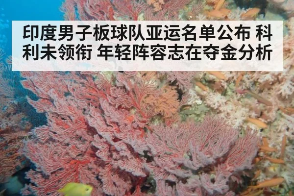 印度男子板球队亚运名单公布 科利未领衔 年轻阵容志在夺金分析