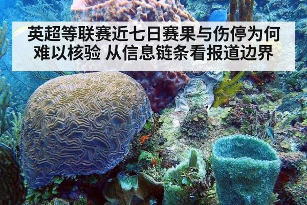 英超等联赛近七日赛果与伤停为何难以核验 从信息链条看报道边界